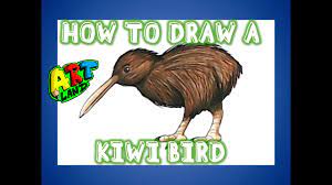 how to draw a kiwi bird you