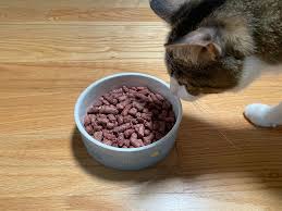 feed a diabetic cat to gain weight