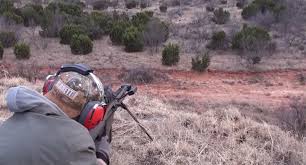 The story goes that a.50 cal. Hunter Tries Out A 50 Cal On A Feral Hog