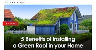 5 Benefits Of Installing A Green Roof