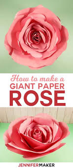 giant flower spellbound rose every