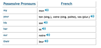 French Possessive Pronouns Pdf French Diagram Chart