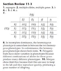 The number of chromosomes per cell is cut in half through the separation of homologous chromosomes in. 2