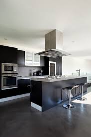 Modern gray kitchen cabinets with dark floor. 52 Dark Kitchens With Dark Wood Or Black Kitchen Cabinets Currentyear Home Stratosphere