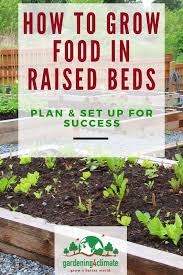 the raised bed vegetable garden