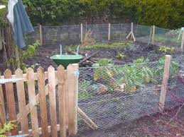 Rabbit Proof Fencing Around Vegetable