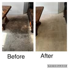 carpet cleaner in irvine ca