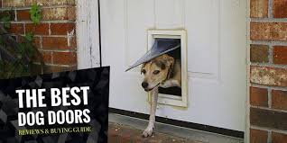 7 Doggy Door Alternatives Flaps