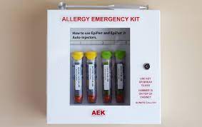 What Is An Allergy Emergency Kit