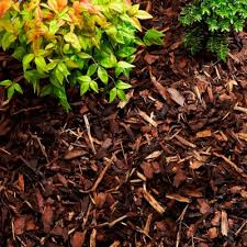 The Benefits Of Barks And Mulches