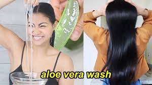 my aloe vera hair wash routine how to