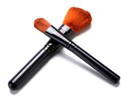 make up cosmetic brush set in case 13