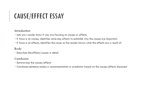 cause effect essay examples religious tolerance essays cause cause effect essay examples