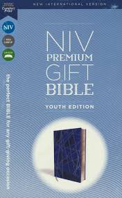 niv premium gift youth edition