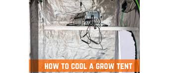 How To Cool Your Grow Tent Farm