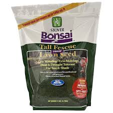 stover bonsai dwarf fescue gr seed