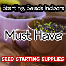 Seed Starting Indoors Must Have Seed