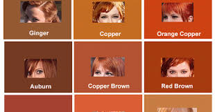 Shades Of Red Hair Colour Chart Best Picture Of Chart