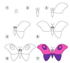 how to draw a erfly 7 easy steps
