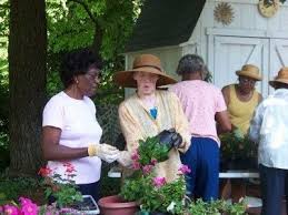 Learn More About Gardening Clubs And