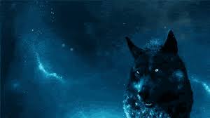 wolf gif icegif