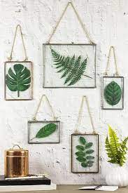 Framed Plants Diy Wall Decor