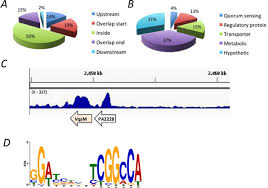 Chip Seq Reveals In Vivo Binding Sites Of Vqsm On The Pao1