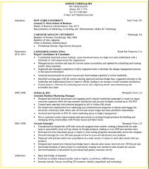 Sample Business Development And Consulting Resume Danetteforda