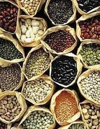 native organic vegetable seed