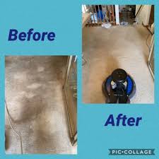 apollo carpet upholstery cleaning