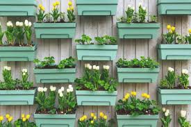 25 Best Small Garden Ideas Clever