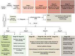 ScienceDirect.com gambar png