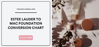 mac foundation shade conversion chart