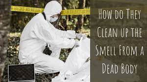 clean up the smell from a dead body