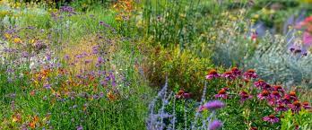 How To Design A Meadow Garden Garden