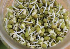 mung bean sprouts a raw or cooked