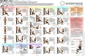 Home Gym Exercise Chart Pdf Gym Workout Chart Total Gym