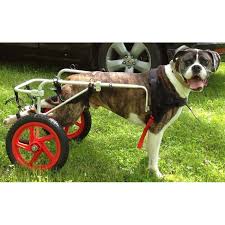 best friend mobility dog wheelchair
