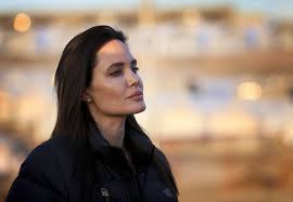 experts back angelina jolie pitt in