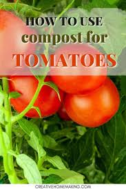 the best compost for tomatoes