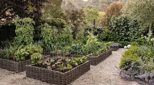 Fruits And Vegetables Gardening Guide