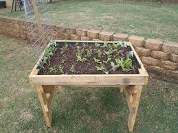 raised vegetable garden box