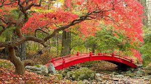 Japanese Garden Autumn Zen Garden Hd