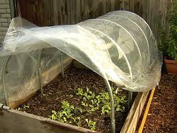 guide to using cold frame in gardening