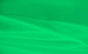 green flag stock photos images and