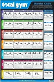 Chart For Exercise In Gym Jasonkellyphoto Co