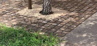 Root Of How To Lay Pavers Around A Tree