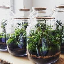 Excellent #diy detail are readily available on our internet site. look at  th s and you will not be sorry you did. | Diy plants, Garden terrarium,  Glass jars diy