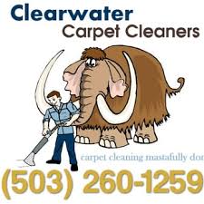 clearwater carpet cleaners 10 photos