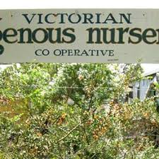 victorian indigenous nurseries co